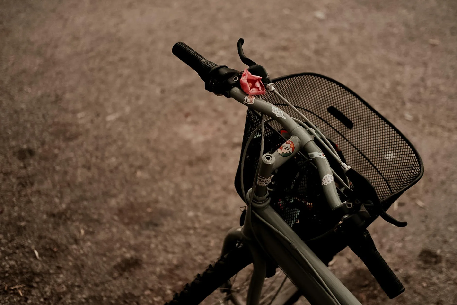 Close-up of a bicycle handlebar mirror showing the rear view