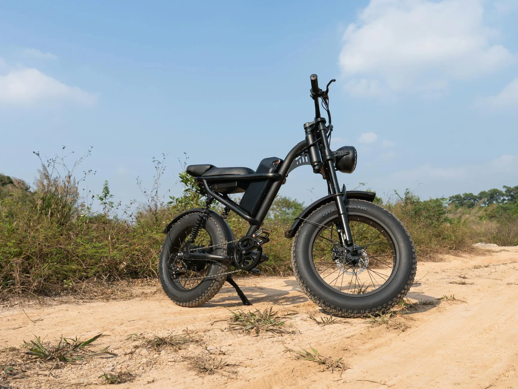 Electric bike motor and pedal assist system