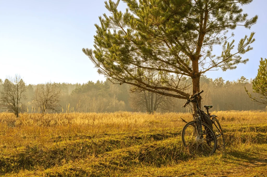 E-bike on a countryside route for a UK day trip