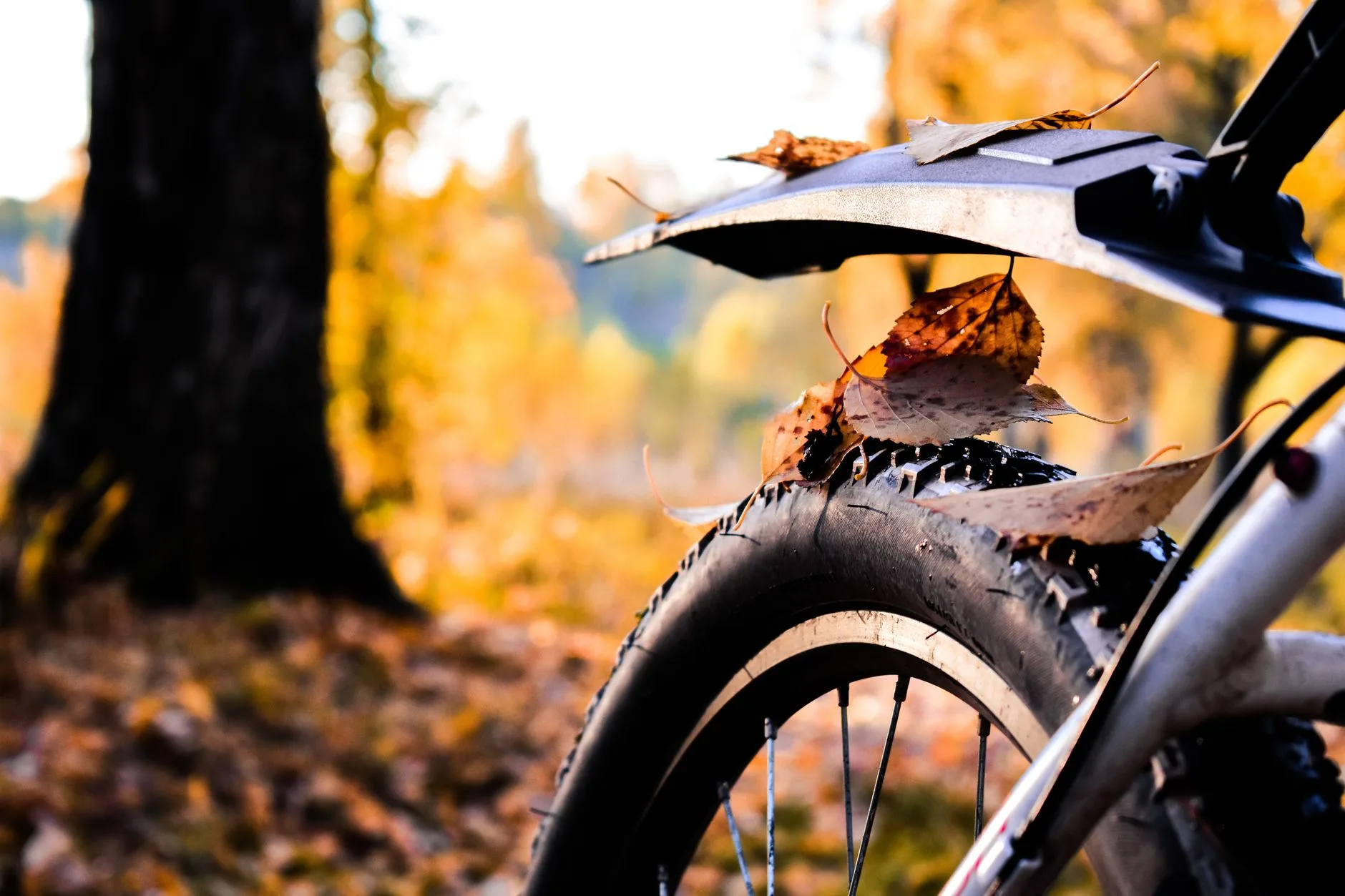 Close-up of mudguard clearance above a bicycle tyre