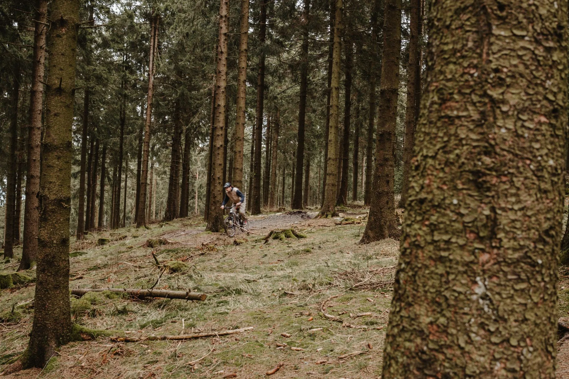 Forest mountain bike trail through dense trees